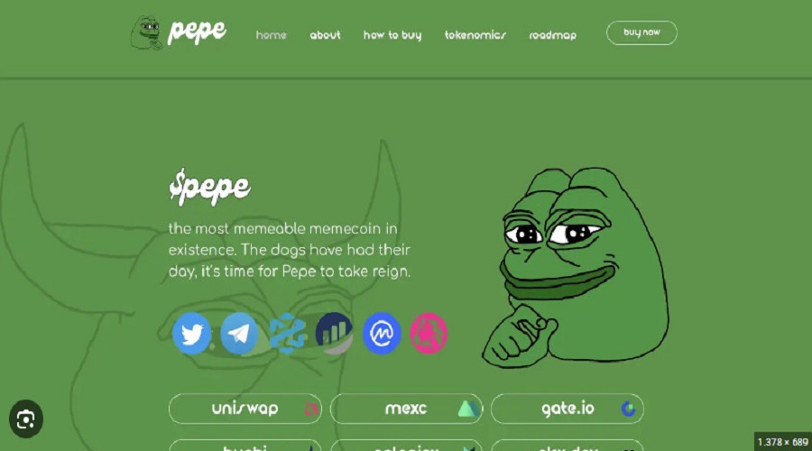What is Pepe Coin (PEPE)