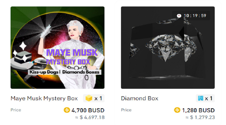 Maye Musk Mystery Box (MPB)