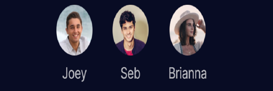 Fei protocol Project team