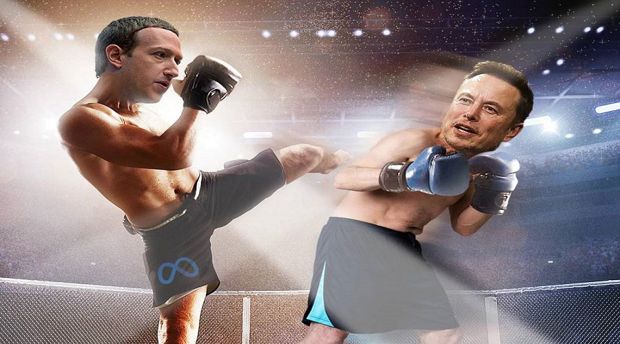 Mark Zuckerberg and Elon Musk were made memes in the ring