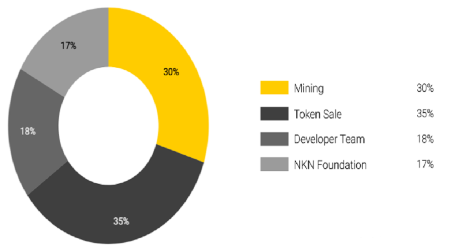 NKN coin Allocation