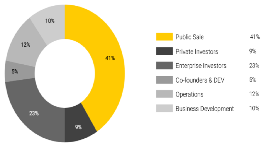 Token Allocation Vechain VET coin