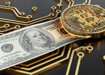 Definition of a store of value