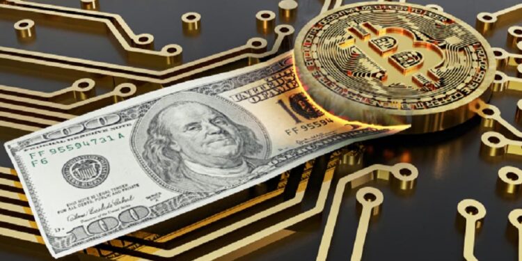 Definition of a store of value