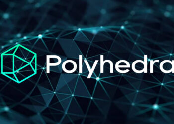 Polyhedra Network
