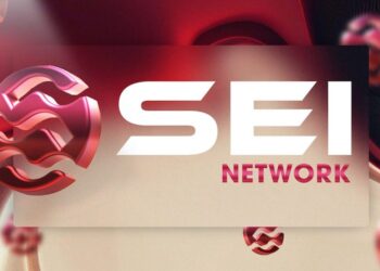 What is Sei Network?