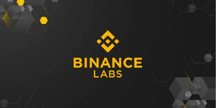What is Binance Labs investment fund